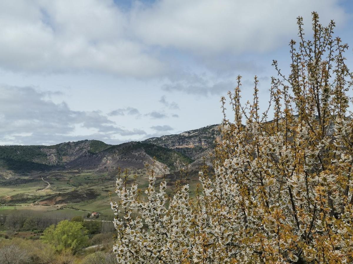 Casa Rural Castellanos Huelamos Zewnętrze zdjęcie